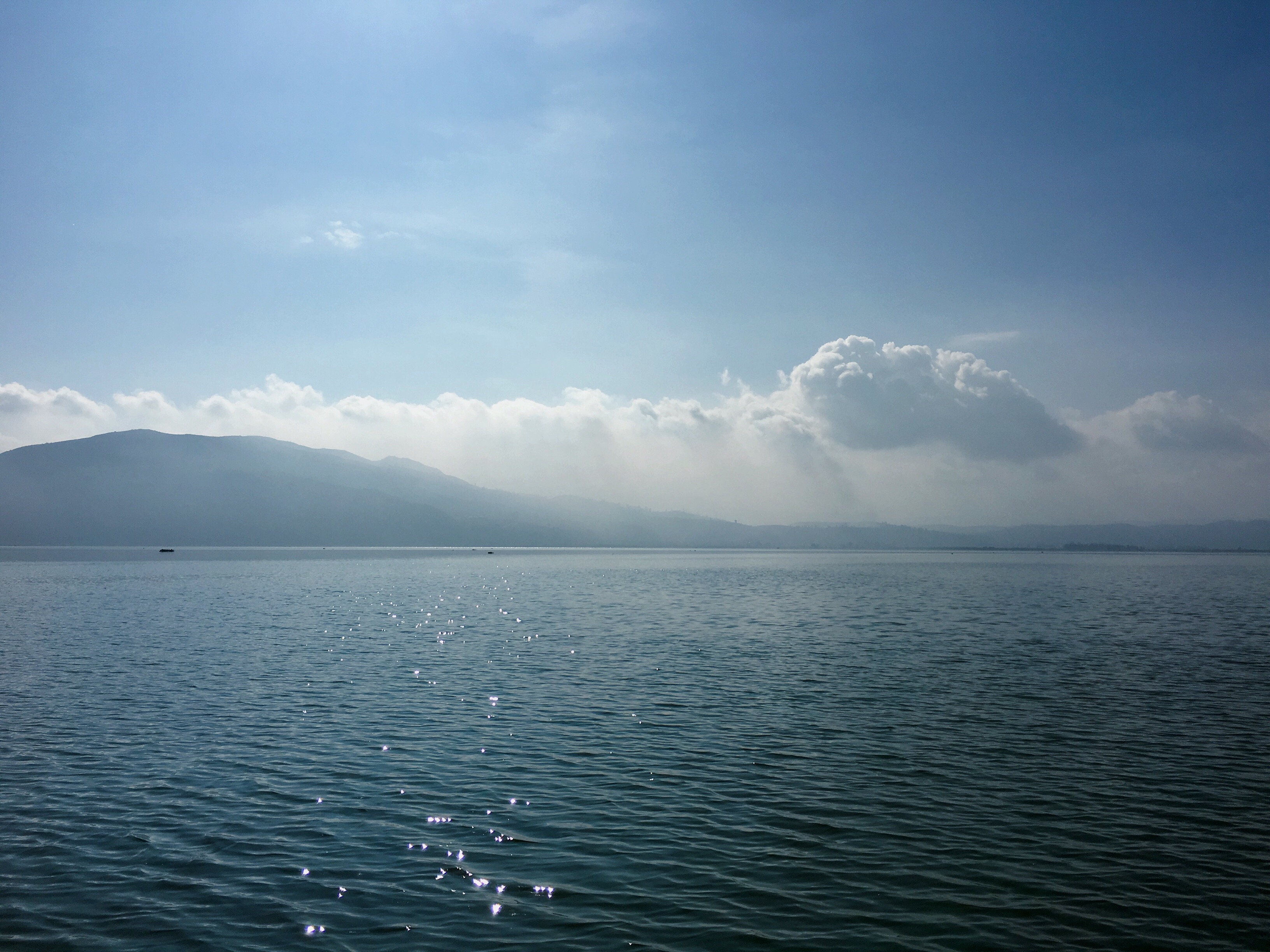 云南秋季星云湖湖泊湿地水杉景色航拍4k_3840X2160_高清视频素材下载(编号:24452545)_实拍视频_光厂(VJ师网) www ...